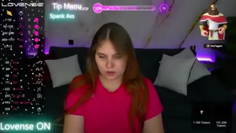 VinnaSky webcam model stream image