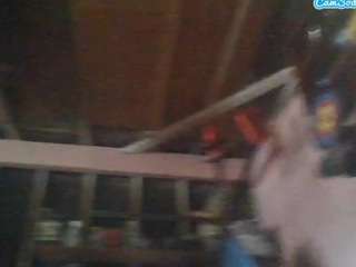 chuncc64 webcam model stream image