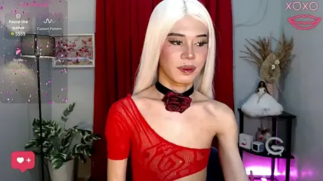 MissTransStella69 webcam stripchat model stream image