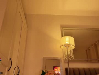 myassistant webcam model stream image