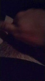 crowlee_ webcam model stream image