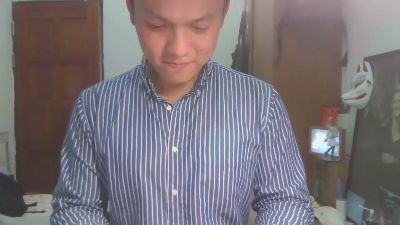vul3196t webcam model stream image