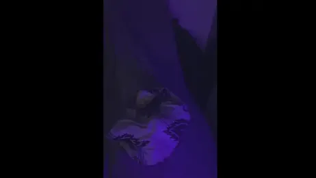 DirtyFuckingJack webcam model stream image