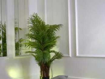 alexxiskye webcam model stream image