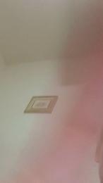 diabla4 webcam model stream image