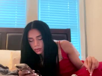 dynasty313 webcam model stream image