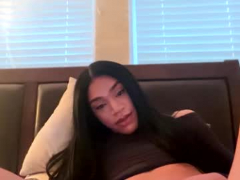 dynasty313 webcam model stream image