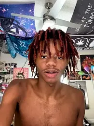 Zayinc webcam model stream image