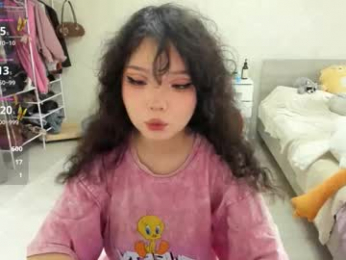 wastforu webcam model stream image