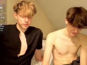 wesides webcam model stream image