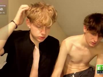 wesides webcam model stream image