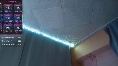 FlorenceSi webcam model stream image