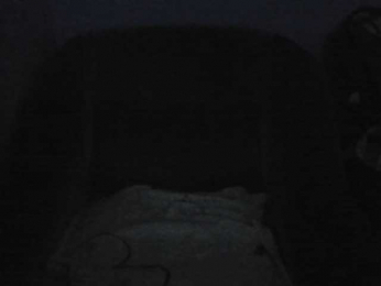 DaNikan webcam model stream image