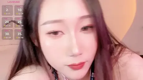 BoxedGyre- webcam model stream image