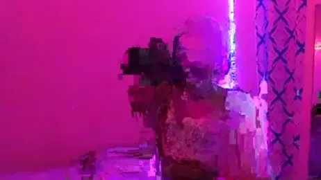 nzanizy webcam model stream image