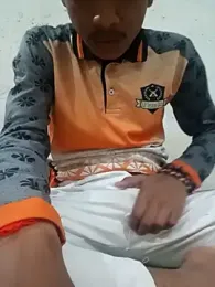 Denybigdick webcam model stream image