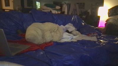 fistsmsoft1 webcam model stream image