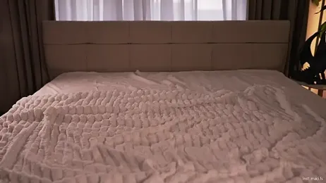 Faster_maci webcam stripchat model stream image