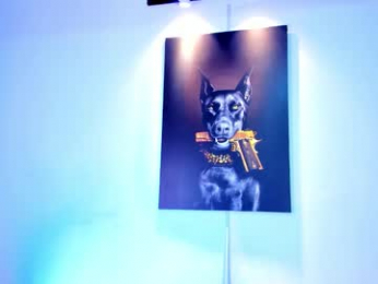 stiiveen_24cm webcam model stream image