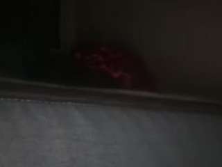 420wildcard webcam model stream image