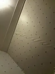 sexyman1936 webcam model stream image