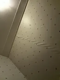 sexyman1936 webcam model stream image