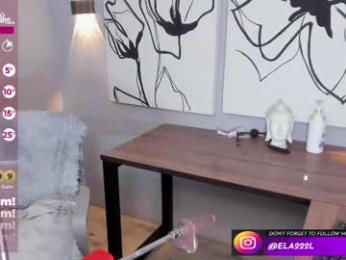 ela_lane_2 webcam model stream image