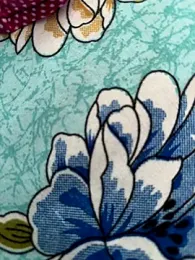 Ishikaranaa webcam model stream image