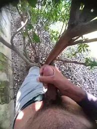 Desi_Horny_Boys webcam stripchat model stream image