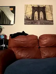 himNIGuys webcam model stream image