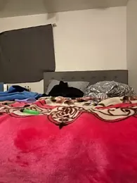 himNIGuys webcam model stream image