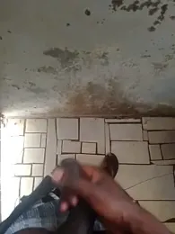 92donis webcam model stream image