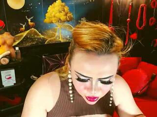 Brunette Nicole webcam model stream image