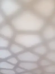 bullut06 webcam model stream image