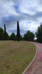 qpmario webcam model stream image