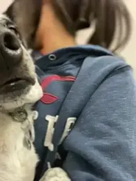 Salome_golvert webcam model stream image