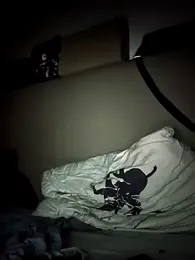 sylence777 webcam stripchat model stream image