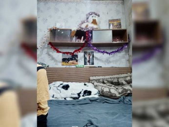 Krohab webcam model stream image