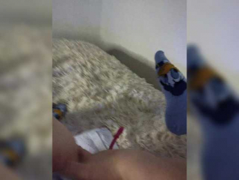 Piff_Pawlady webcam model stream image