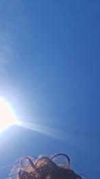 naturist__xl webcam model stream image
