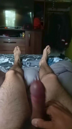 Pedroastor323 webcam model stream image