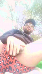 Instar webcam model stream image