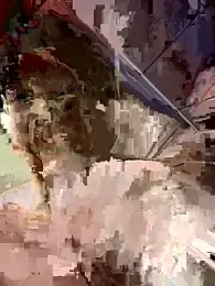 Tkcqcc webcam stripchat model stream image