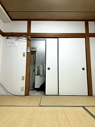 Tkcqcc webcam model stream image