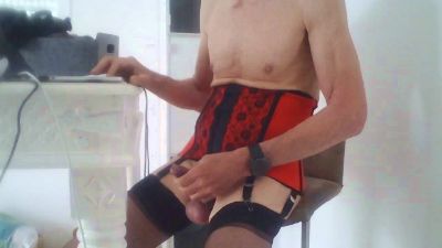 telemarker webcam model stream image