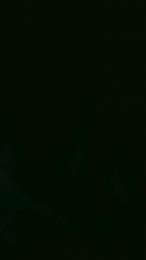 TuNalgonaFav webcam model stream image