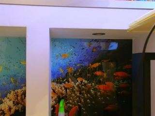 rabbits-couplee webcam model stream image