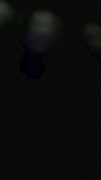 Paquete19 webcam cam4 model stream image