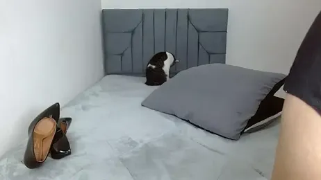 celeste_2023 webcam stripchat model stream image