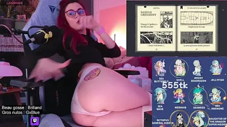 Indriya2x0 webcam model stream image